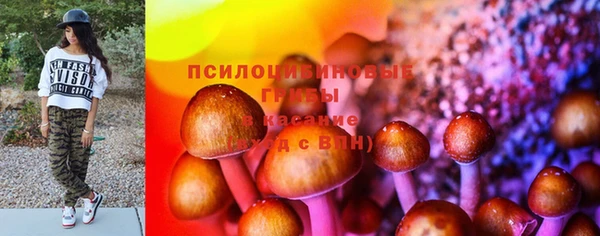 ешки Алексеевка