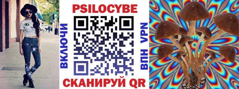хочу   Инсар  Галлюциногенные грибы Cubensis 